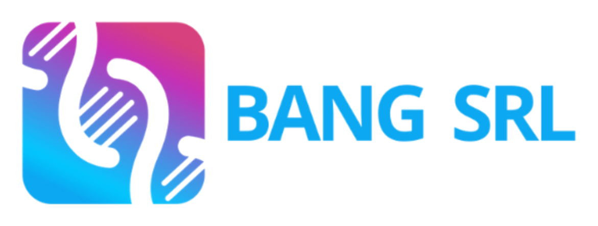 BANG SRL